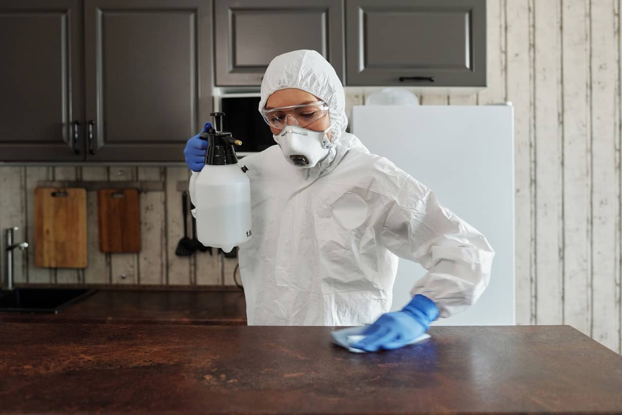 PROFESSIONAL CLEANER