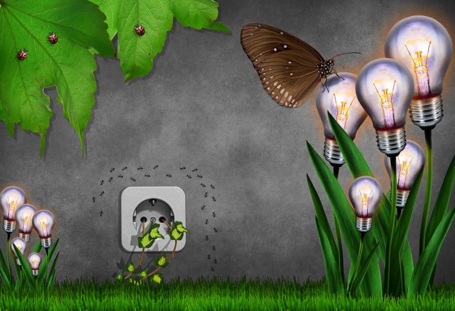 Environmental Friendly Electricity
